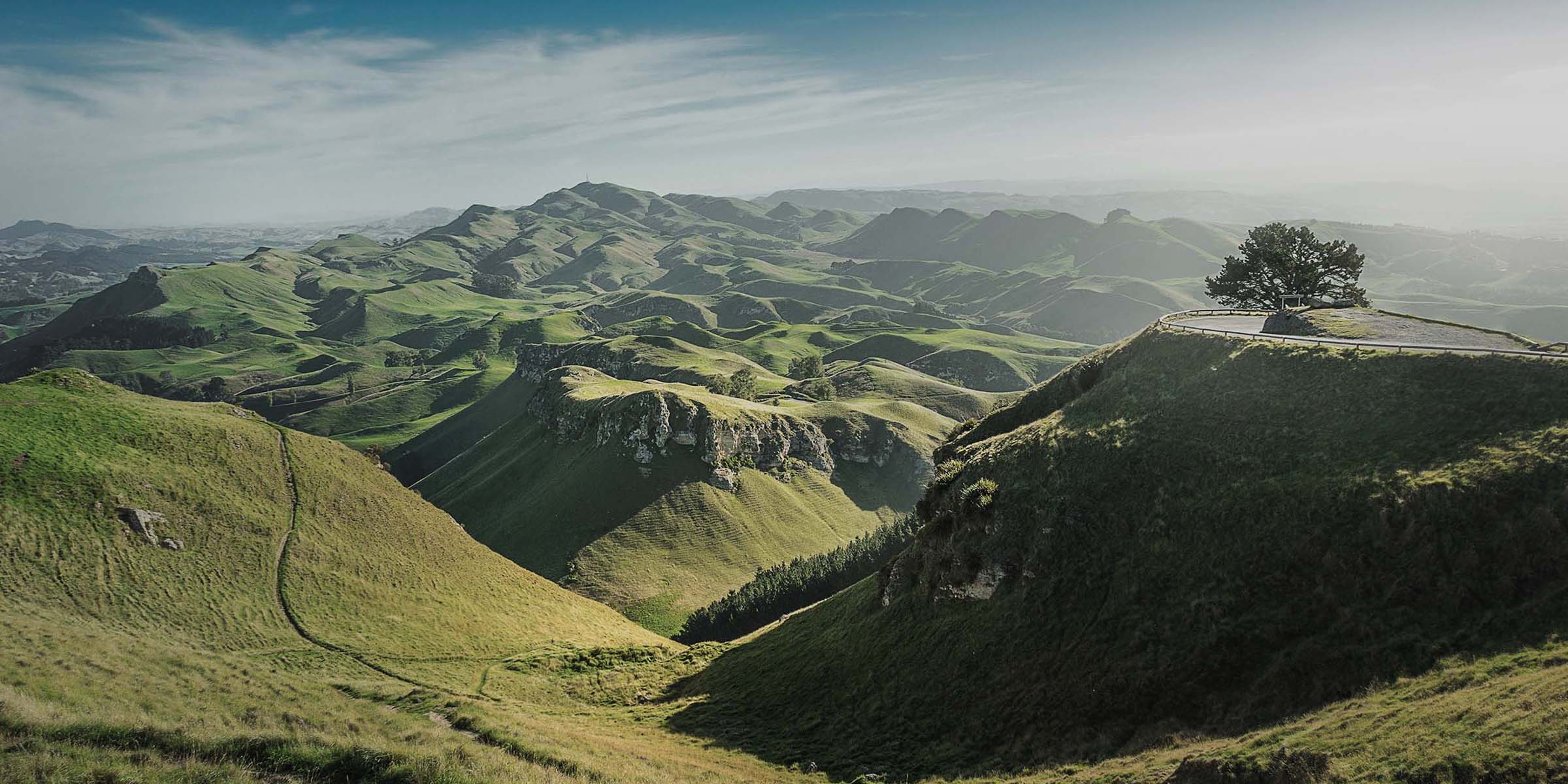 From Two Worlds: The Potent Botanicals of Canada & New Zealand