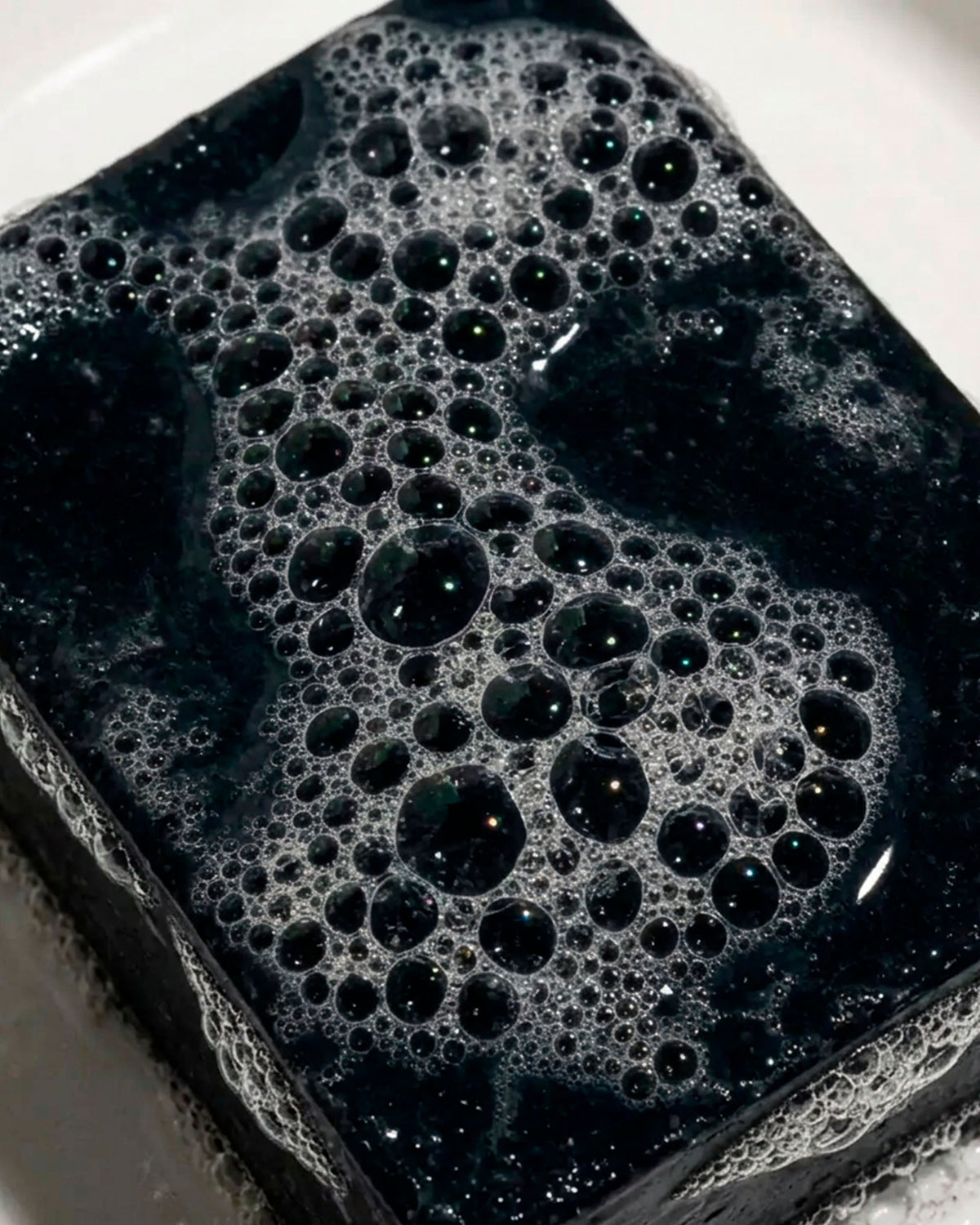Black Spruce Face & Body Soap Bar